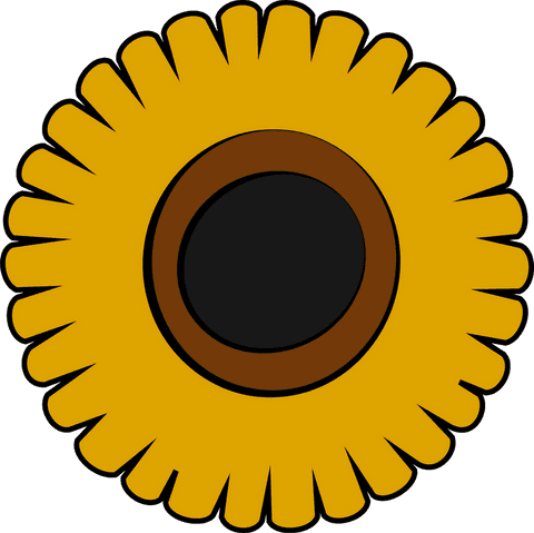 flat design sunflower transparent background illustration - Download Free Stock Videos Pikwizard.com