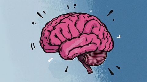 Vibrant pink brain illustration on blue background