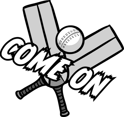 dynamic cricket bats and ball with energetic text on transparent background - Download Free Stock Videos Pikwizard.com