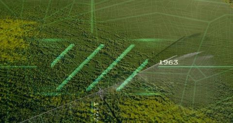 Aerial forest canopy with digital data visualization overlay