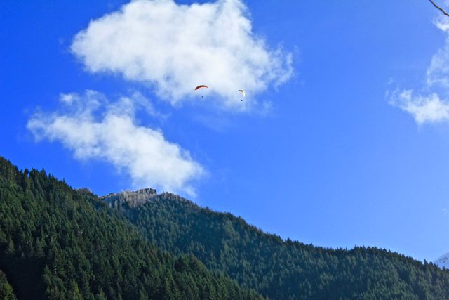 This image features two paragliders flying above densely forested mountains under a bright blue sky and scattered clouds. Perfect for use in travel brochures, adventure sports promotions, outdoor activity advertisements, and environmental awareness campaigns. Captures the thrilling experience of paragliding in a natural setting.