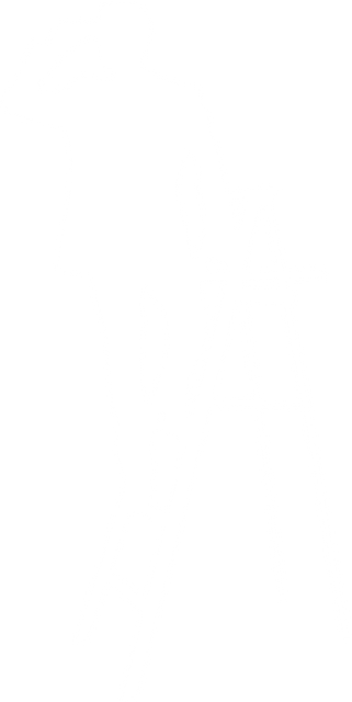 Transparent Illustration of Businessman on Ladder in White Silhouette Style - Download Free Stock Videos Pikwizard.com