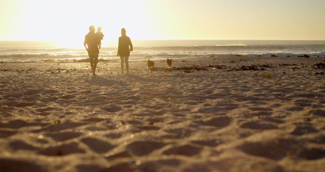 Silhouette of father carrying toddler walking on beach with mother and dogs at sunset, copy space - Download Free Stock Photos Pikwizard.com