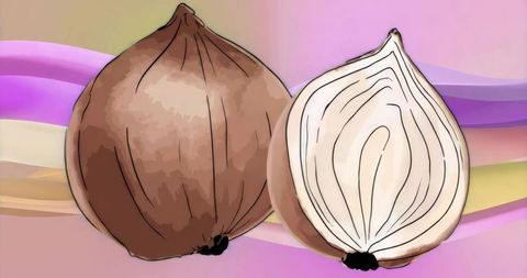 Minimalist Onion Illustration on Pastel Background