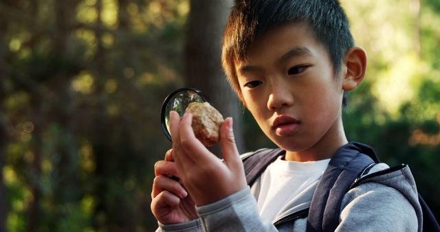 Curious Young Boy Exploring Nature with Magnifying Glass - Download Free Stock Images Pikwizard.com