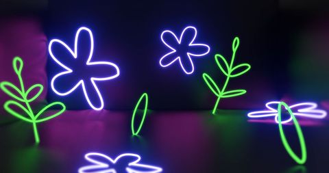 Neon Glow Flowers and Leaves on Dark Background - Download Free Stock Images Pikwizard.com