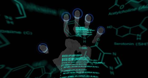 Biometric Handprint with Data Processing Interface