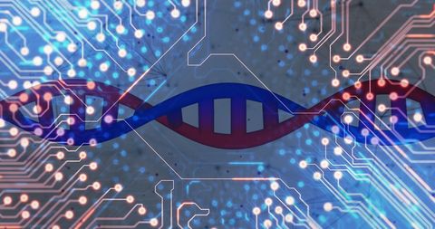 DNA Strand Integrating with Advanced Technology Circuit Pattern - Download Free Stock Images Pikwizard.com