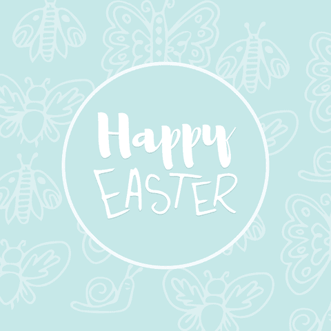 happy easter text with butterflies and bees on transparent background - Download Free Stock Videos Pikwizard.com