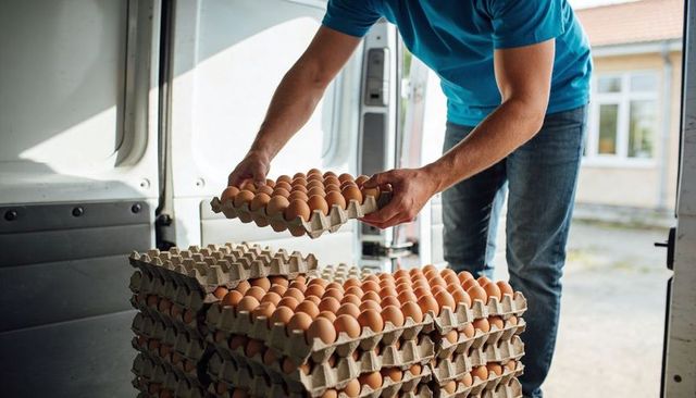 Delivery worker stacking trays of brown eggs in van for fresh farm-to-door logistics pickup