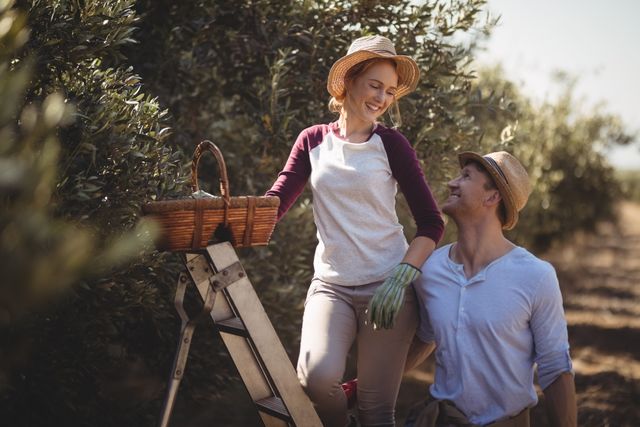 This image depicts a cheerful young couple working together in an olive farm. The woman is standing on a ladder with a wicker basket, while the man is looking up at her with a smile. Both are wearing casual clothing and hats, suggesting a sunny day. This image can be used for themes related to agriculture, teamwork, rural lifestyle, and outdoor activities.