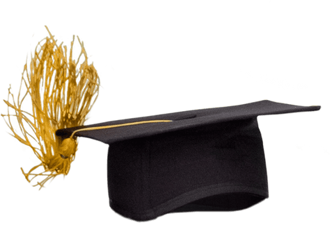 graduation cap with gold tassel on transparent background - Download Free Stock Videos Pikwizard.com