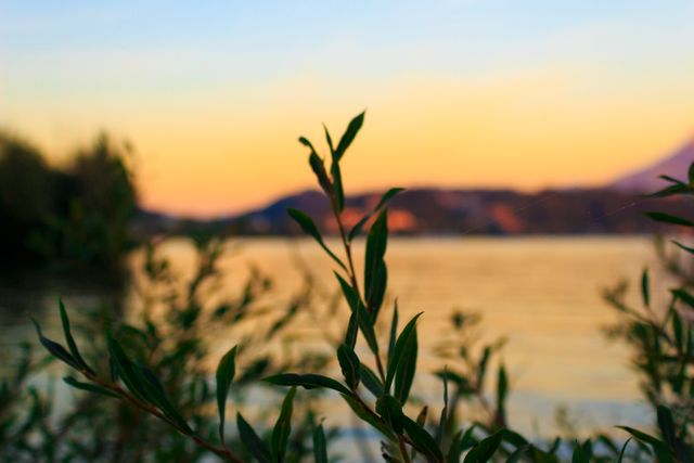 Scene captures tranquil lake at sunset with blurry shrubs in foreground and soft hills in background. The vibrant colors of the sky reflecting on the water create a serene and picturesque atmosphere. Perfect for use in nature-related projects, serene landscapes, backgrounds for inspirational quotes, and promoting relaxation and tranquility.