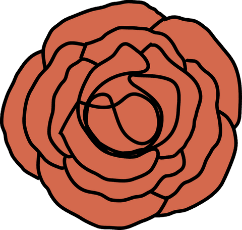 Transparent Rose Illustration with Coral Petals and Bold Outlines