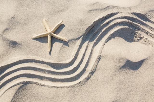 Starfish on Sand with Zen Pattern at Beach - Download Free Stock Photos Pikwizard.com