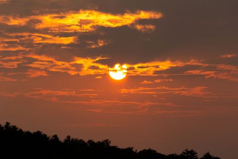 Golden sun sinking through dramatic orange clouds over silhouetted forest horizon