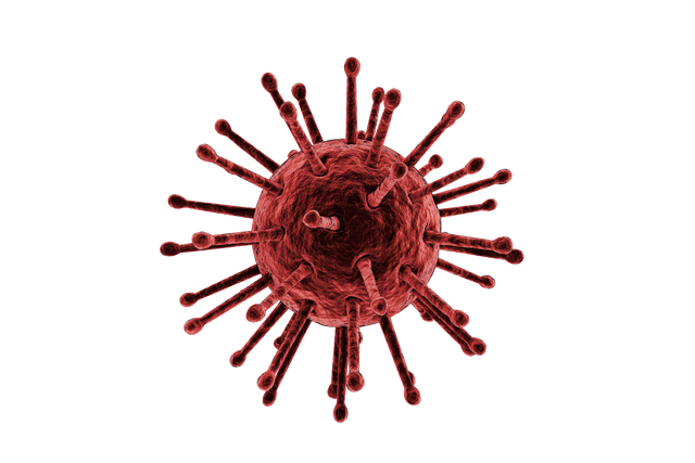 Digital Illustration of Red Virus on Transparent Background, Health and Medical Concept - Download Free Stock Videos Pikwizard.com