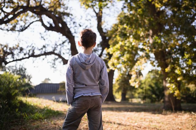 Little boy standing in a forest, facing away from the camera. The scene is bathed in sunlight, with trees and foliage creating a serene atmosphere. Ideal for themes of childhood, exploration, nature, and tranquility. Perfect for use in educational materials, parenting blogs, and outdoor adventure promotions.