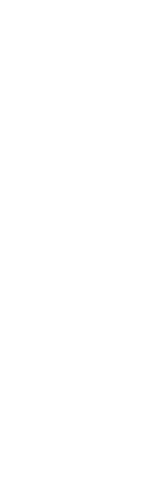 Swimming Pose Silhouette on Transparent Background