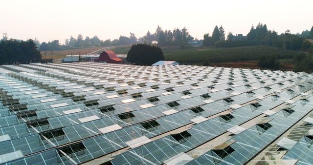 Aerial View of Greenhouse Structures in Countryside Setting on Misty Morning - Download Free Stock Images Pikwizard.com