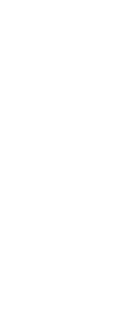 Stylish Silhouette of Woman on Transparent Background