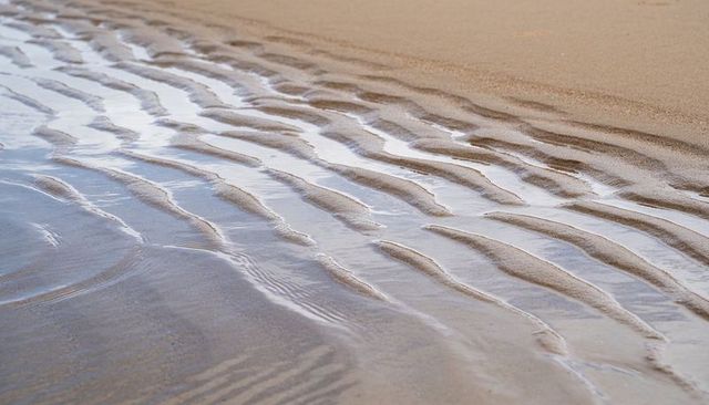 Rippled tidal sand ridges showing wet-dry gradient and reflective shallow channels