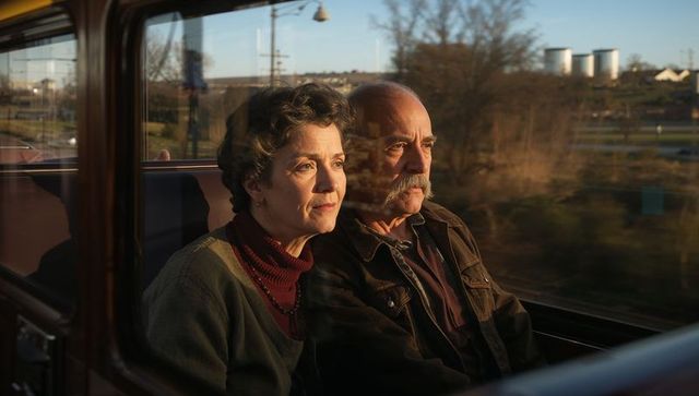 Senior couple enjoying scenic view from train window at sunset