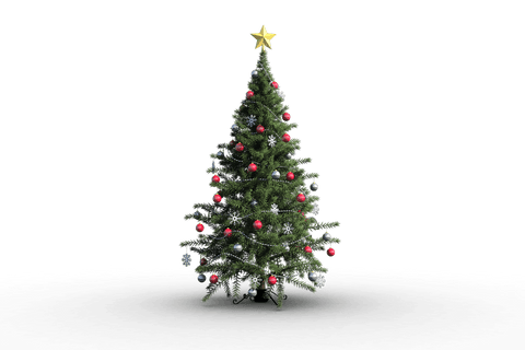 Transparent Christmas Tree with Decorations and Star Topper - Download Free Stock Videos Pikwizard.com