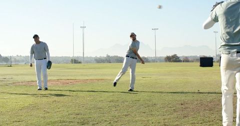 Sunlit Baseball Teammates Throwing and Catching on Grassy Practice Field During Training