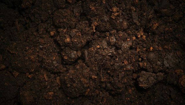 Close-up moist garden soil clumping with mulch, pebbles and organic compost texture