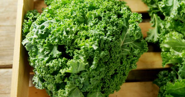 Lush, green curls of fresh kale sitting in a wooden crate. Ideal for content related to agriculture, organic farming, healthy eating, menu design, vegetable gardening or grocery shopping.