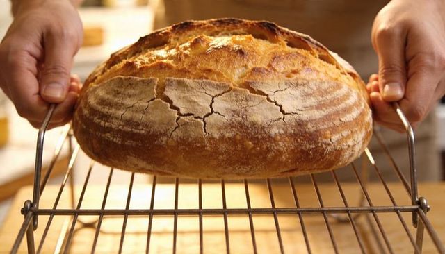 Hand-holding rustic sourdough loaf cooling on wire rack with banneton lines