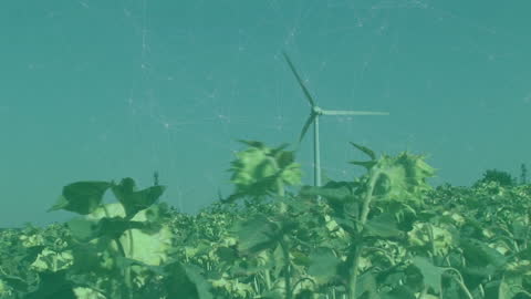 Digital Network Over Wind Turbines in Green Field