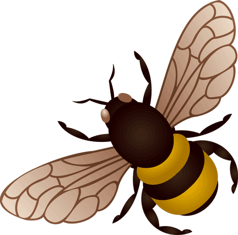detailed bee vector graphic with transparent background - Download Free Stock Videos Pikwizard.com