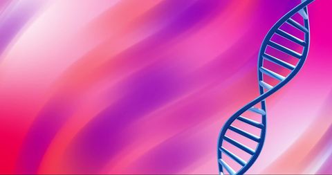 DNA Helix on Vibrant Pink and Purple Gradient Background - Download Free Stock Images Pikwizard.com