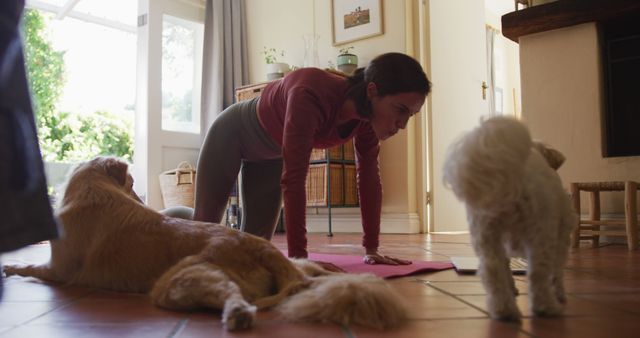 Caucasian woman exercising with her pet dogs using laptop at home. lifestyle, fitness, pet, companionship and animal friendship concept.