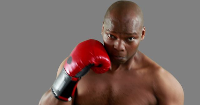 Focus and Determination on African American Boxer with Red Gloves - Download Free Stock Images Pikwizard.com