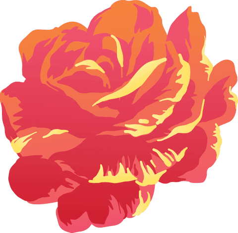 Vibrant transparent rose illustration with bold orange hues