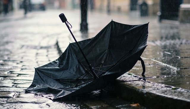 Lying damaged black umbrella exposing ribs on wet cobblestone curb, puddles reflecting