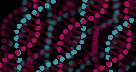 dynamic dna strands on black abstract background - Download Free Stock Images Pikwizard.com
