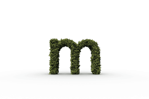 Green Planted Letter M on Transparent Background - Download Free Stock Videos Pikwizard.com