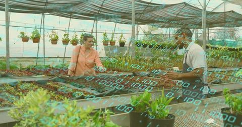 Innovative Farming Tech in Greenhouse Nursery with Binary Overlay