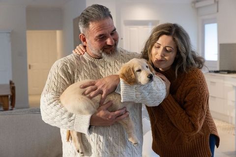 Couple wearing cable knit sweaters holding golden retriever puppy while cuddling at home