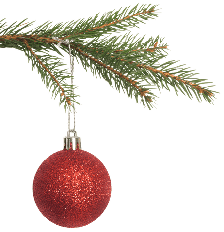 transparent spruce branch hanging with red christmas ornament - Download Free Stock Videos Pikwizard.com