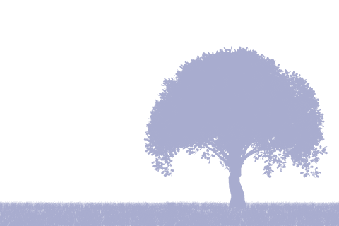 transparent silhouette of tree on vast landscape under open sky - Download Free Stock Videos Pikwizard.com