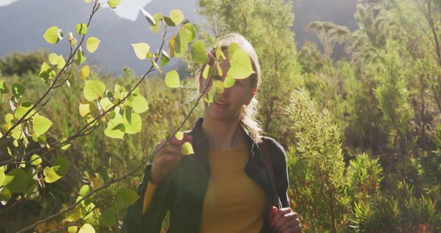 Young Woman Enjoying Hiking Adventure in Sunny Forest - Download Free Stock Images Pikwizard.com