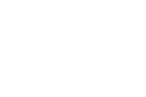 Elegant white branches on transparent background design