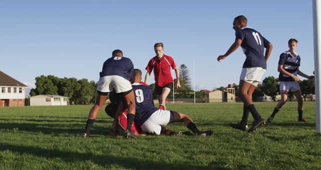 Schoolboys Playing Rugby on Sunny Day in Grass Field - Download Free Stock Images Pikwizard.com