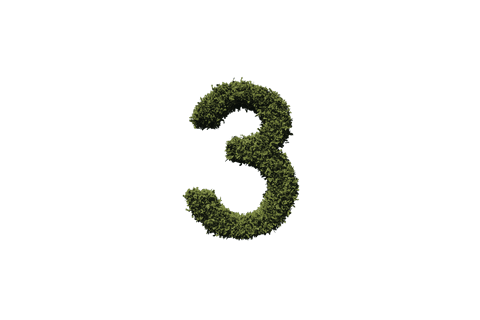 grass number three isolated on transparent background for eco designs - Download Free Stock Videos Pikwizard.com