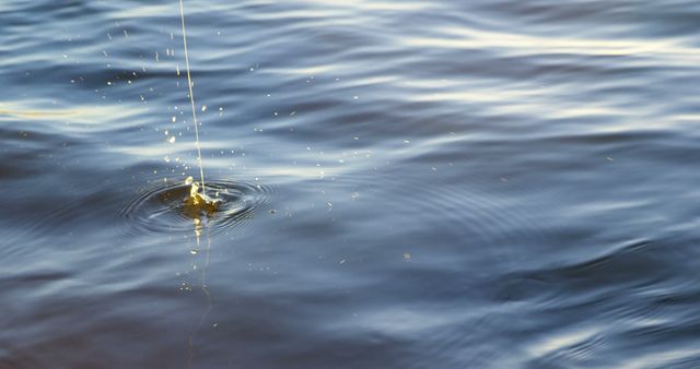 Fishing Line Dipping into Calm Water Creating Ripples - Download Free Stock Images Pikwizard.com